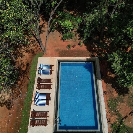 סיגירייה Isanka Lion Lodge מראה חיצוני תמונה