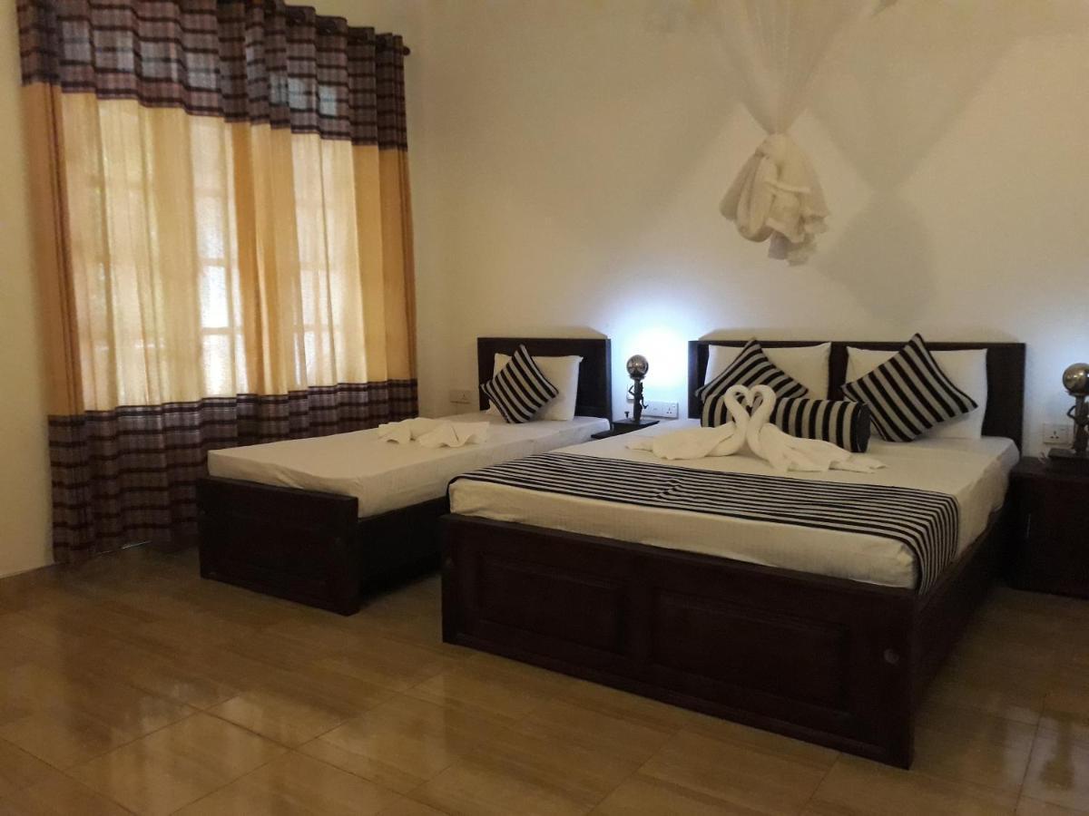 סיגירייה Isanka Lion Lodge מראה חיצוני תמונה