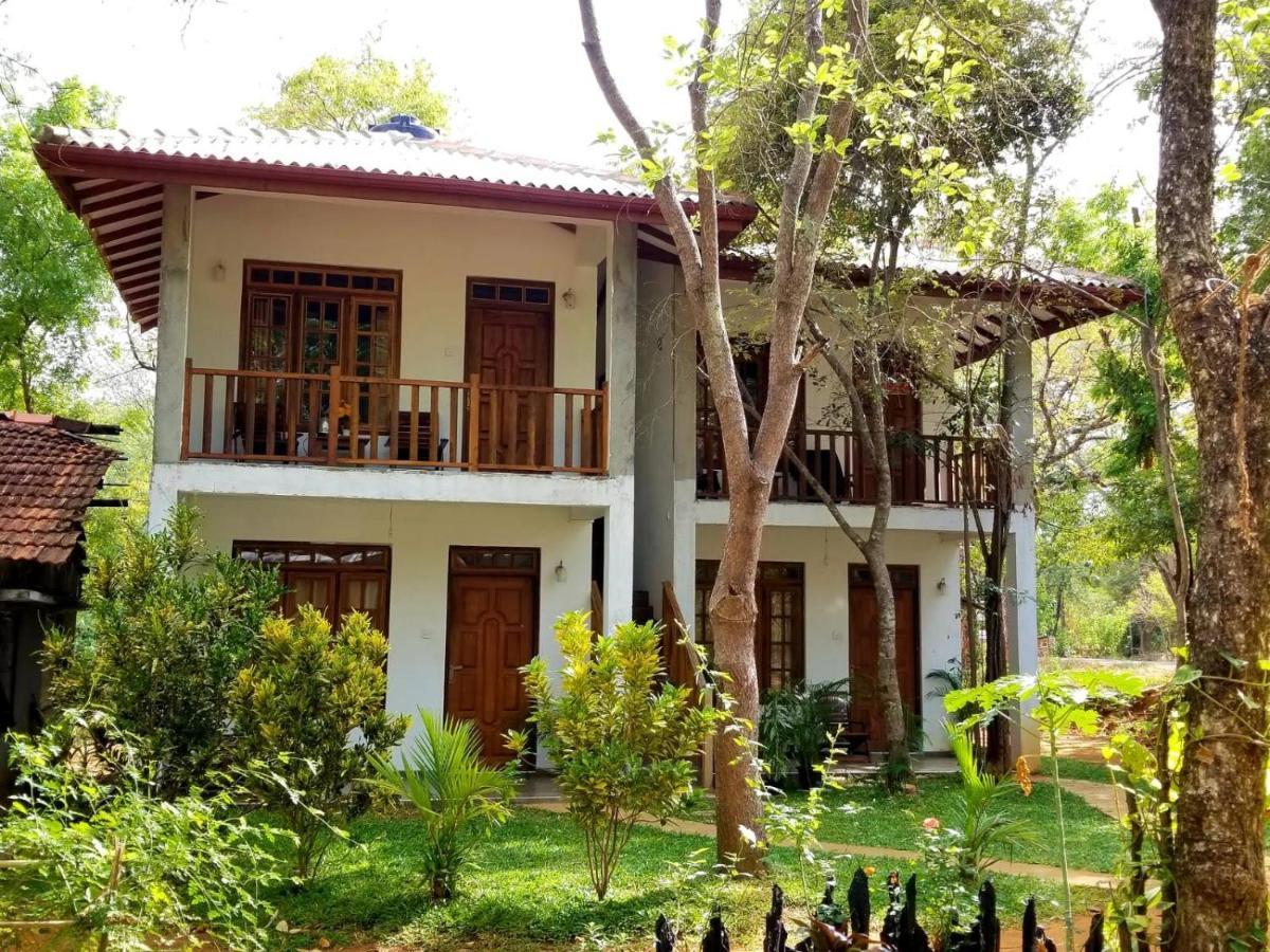 סיגירייה Isanka Lion Lodge מראה חיצוני תמונה