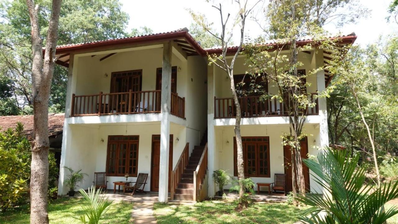 סיגירייה Isanka Lion Lodge מראה חיצוני תמונה