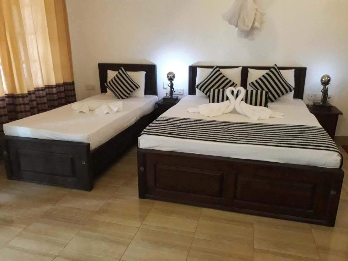 סיגירייה Isanka Lion Lodge מראה חיצוני תמונה