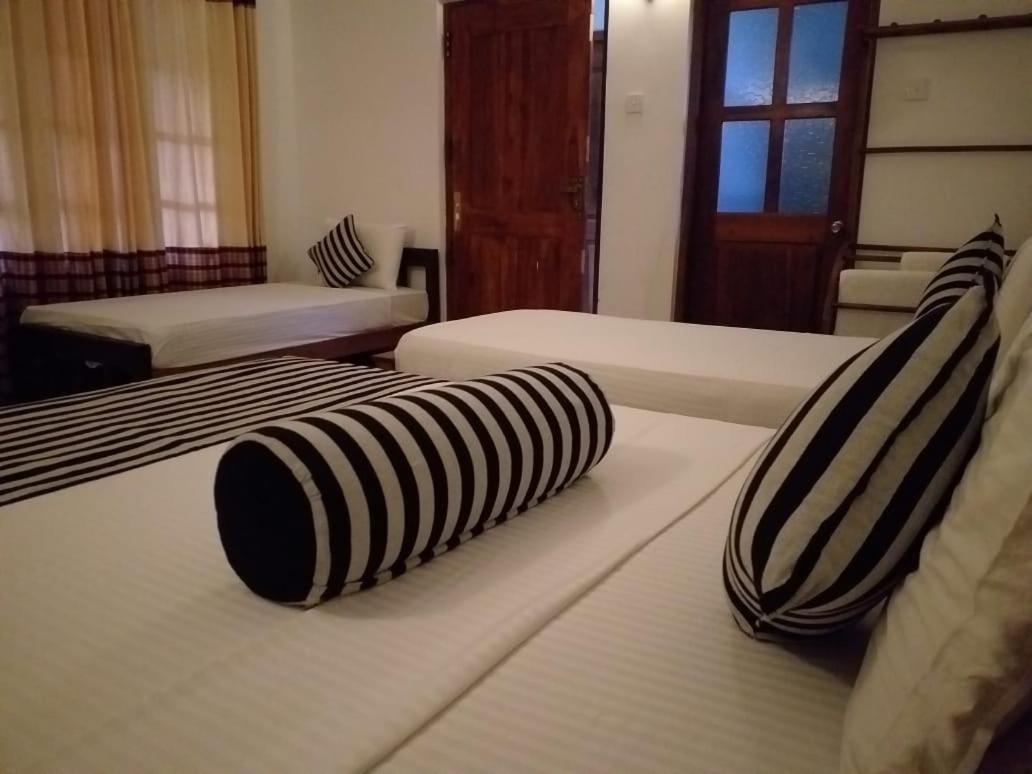 סיגירייה Isanka Lion Lodge מראה חיצוני תמונה