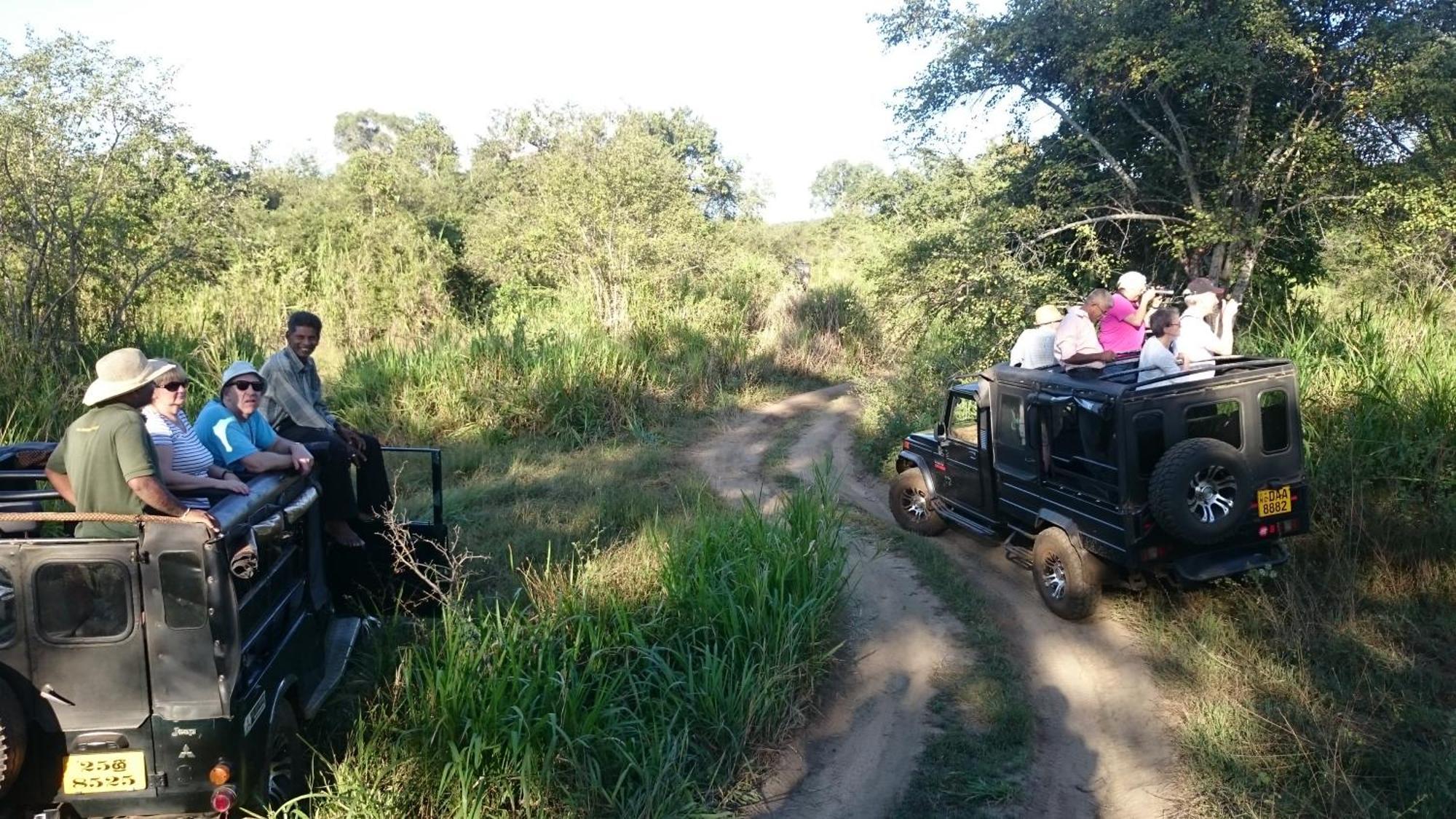 סיגירייה Isanka Lion Lodge מראה חיצוני תמונה