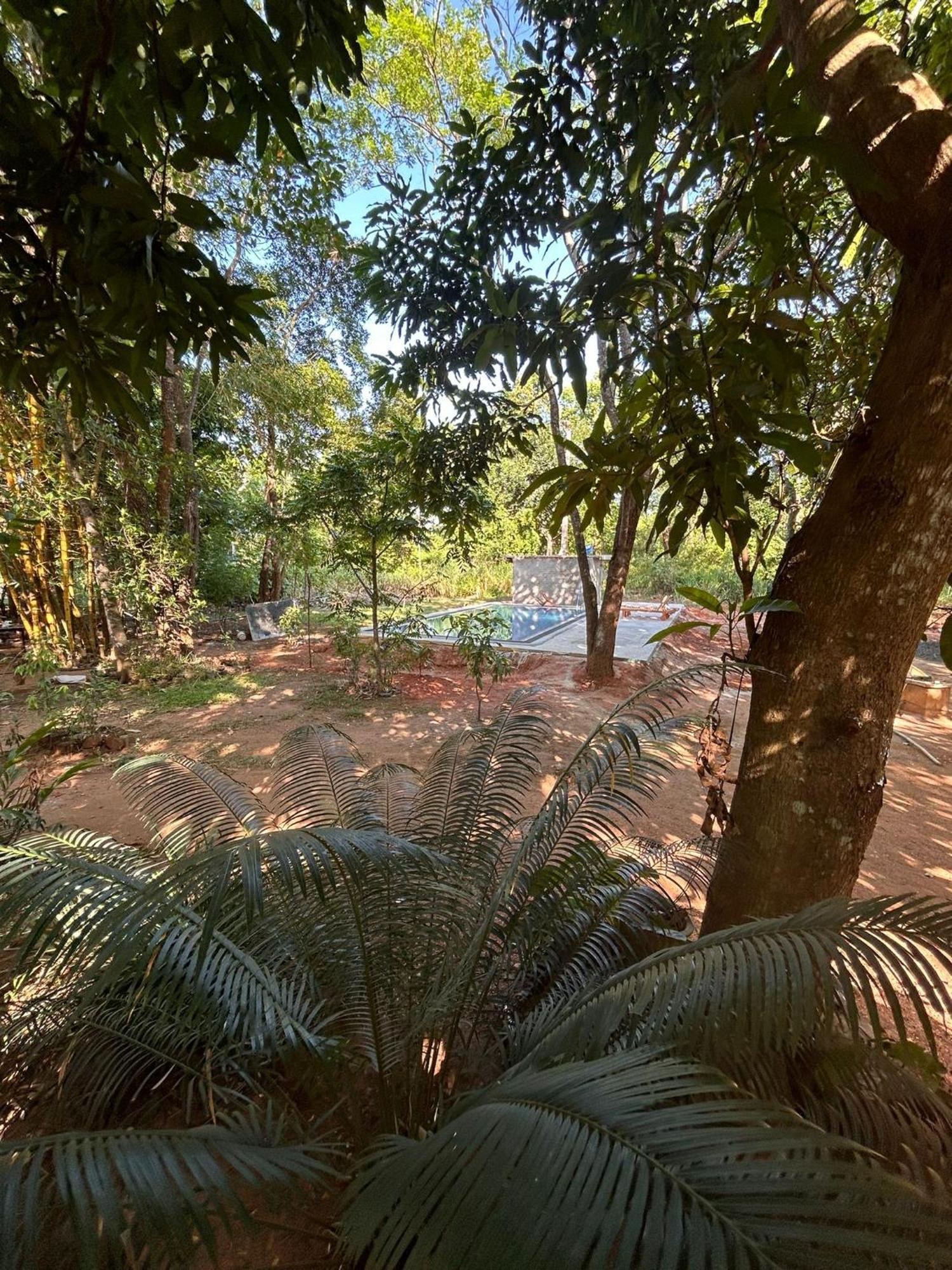 סיגירייה Isanka Lion Lodge מראה חיצוני תמונה