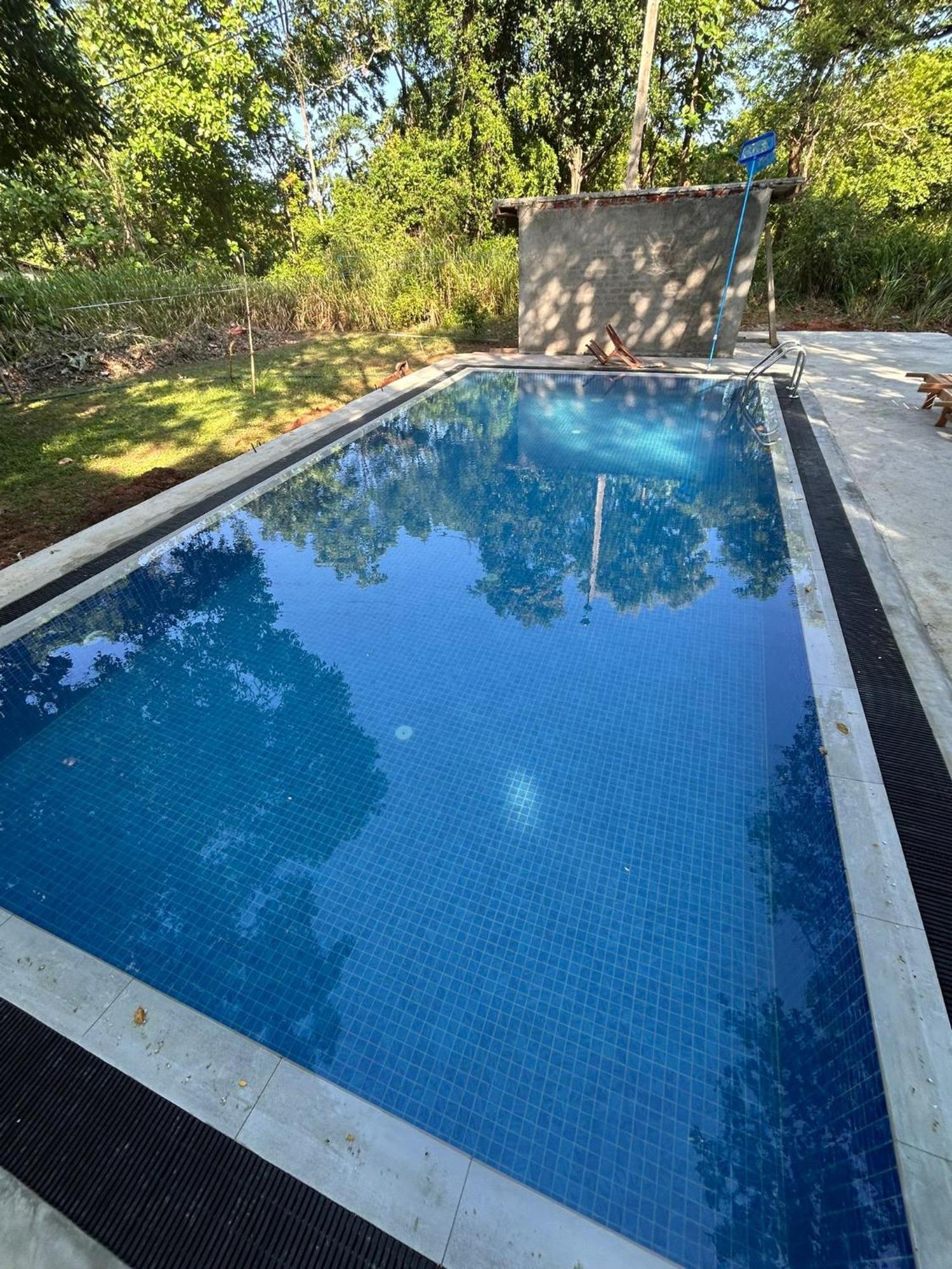 סיגירייה Isanka Lion Lodge מראה חיצוני תמונה
