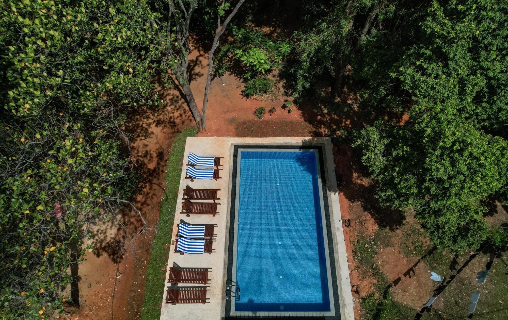 סיגירייה Isanka Lion Lodge מראה חיצוני תמונה
