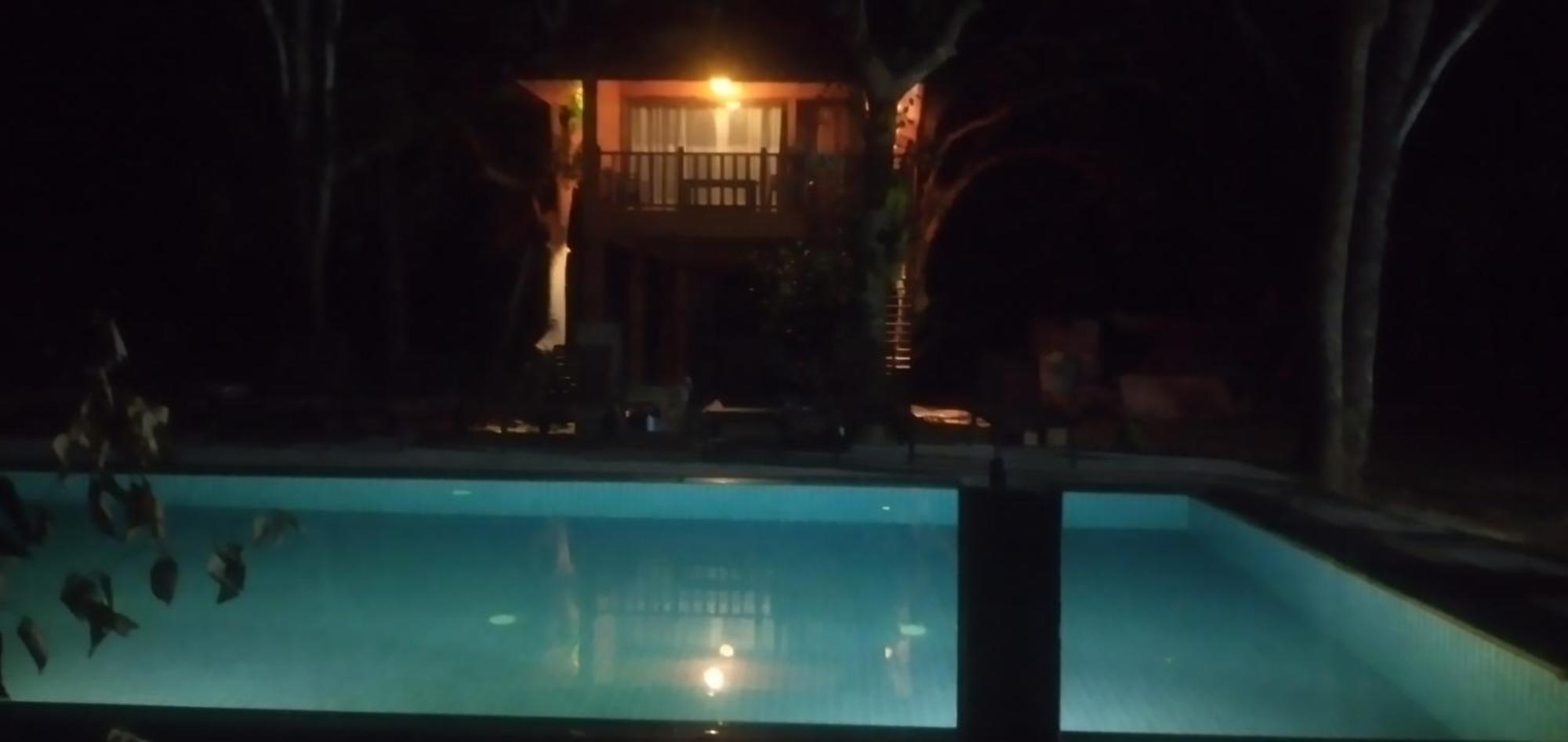 סיגירייה Isanka Lion Lodge מראה חיצוני תמונה