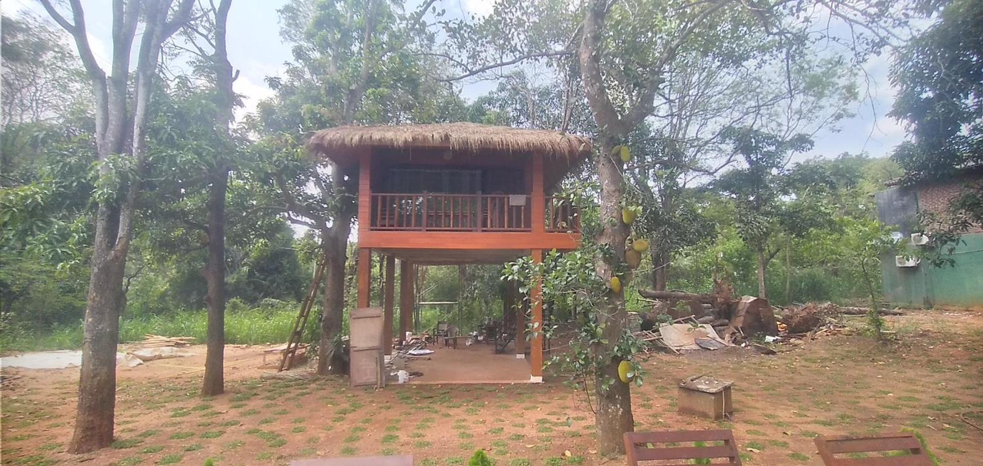 סיגירייה Isanka Lion Lodge מראה חיצוני תמונה