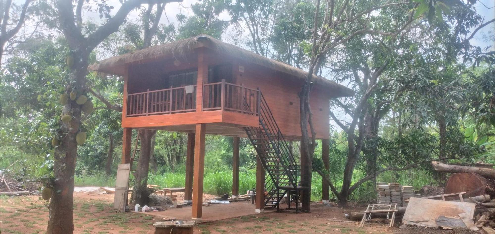 סיגירייה Isanka Lion Lodge מראה חיצוני תמונה