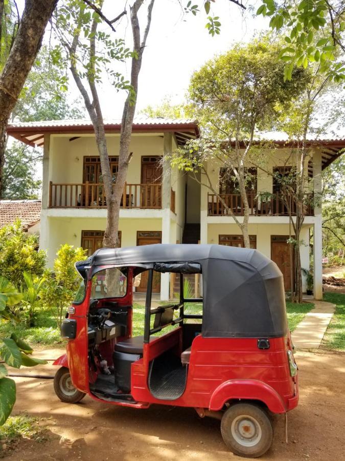 סיגירייה Isanka Lion Lodge מראה חיצוני תמונה